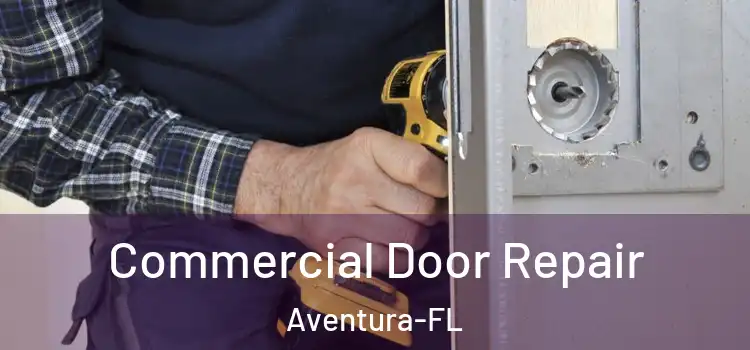  Commercial Door Repair Aventura-FL