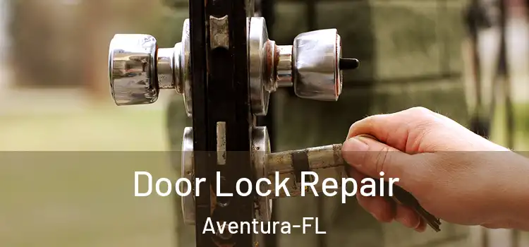 Door Lock Repair Aventura-FL