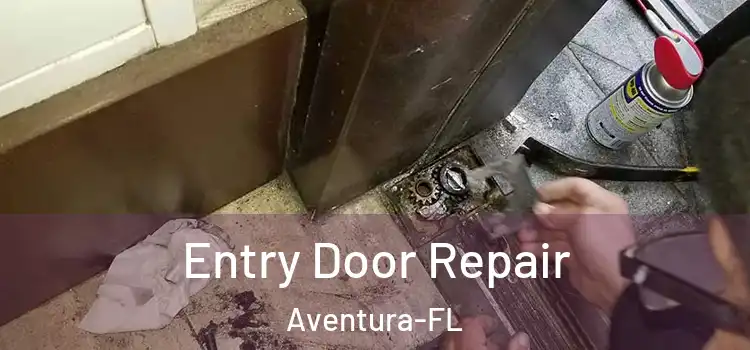  Entry Door Repair Aventura-FL