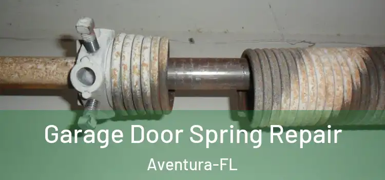  Garage Door Spring Repair Aventura-FL