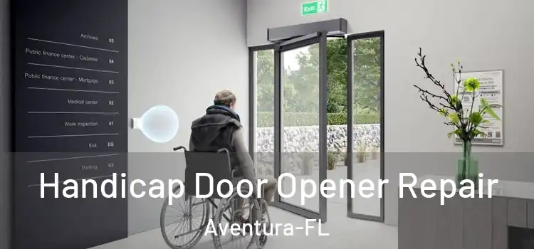  Handicap Door Opener Repair Aventura-FL