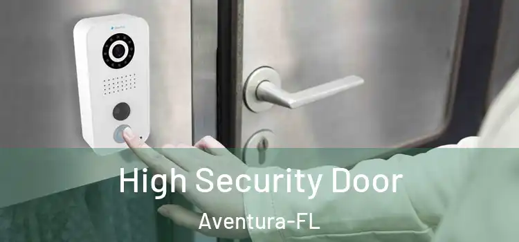  High Security Door Aventura-FL