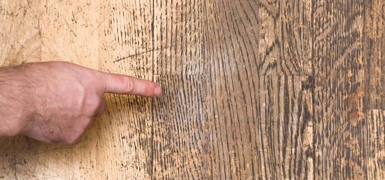 Wood Door Scratch Repair in Aventura