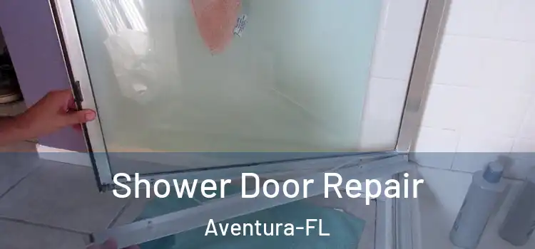  Shower Door Repair Aventura-FL