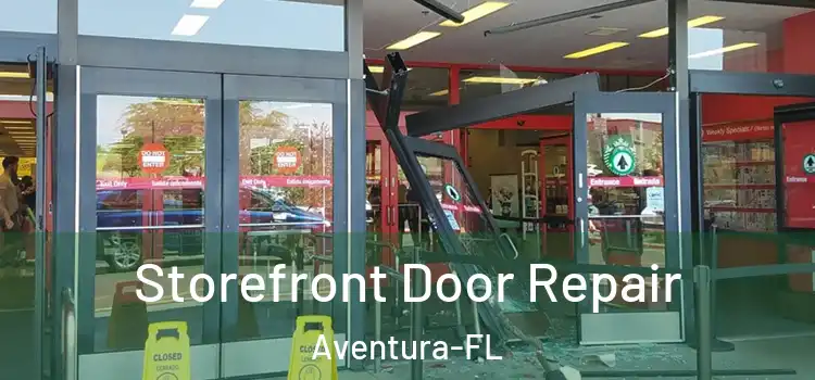  Storefront Door Repair Aventura-FL